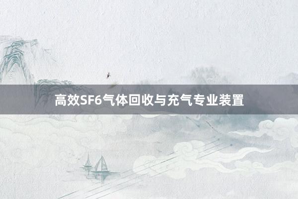 高效SF6气体回收与充气专业装置